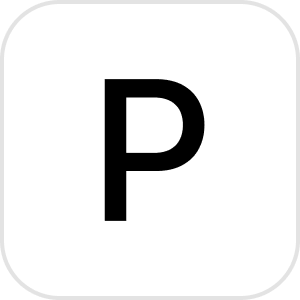 Minimalist favicon featuring a black letter 'P' centered on a white square background.