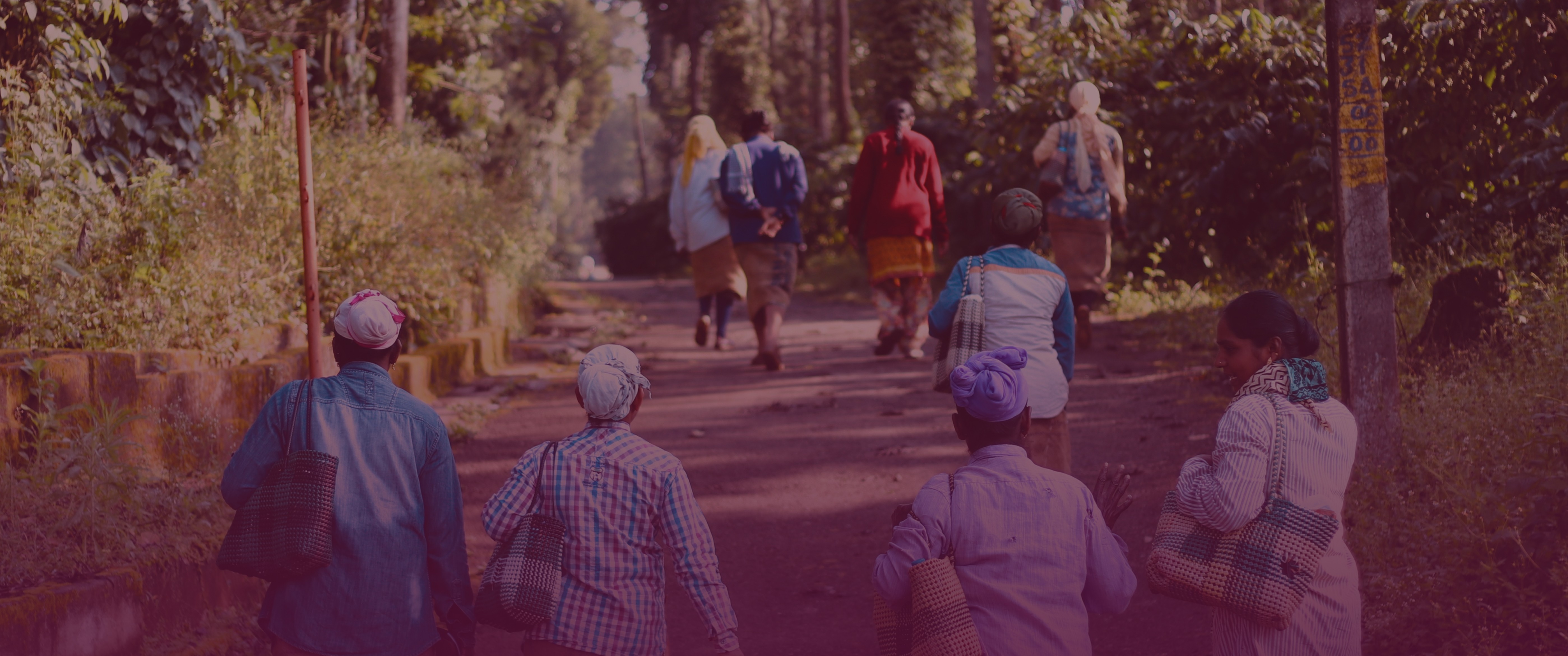 grassroots-impact-agriculture