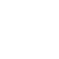 Toyota Logo