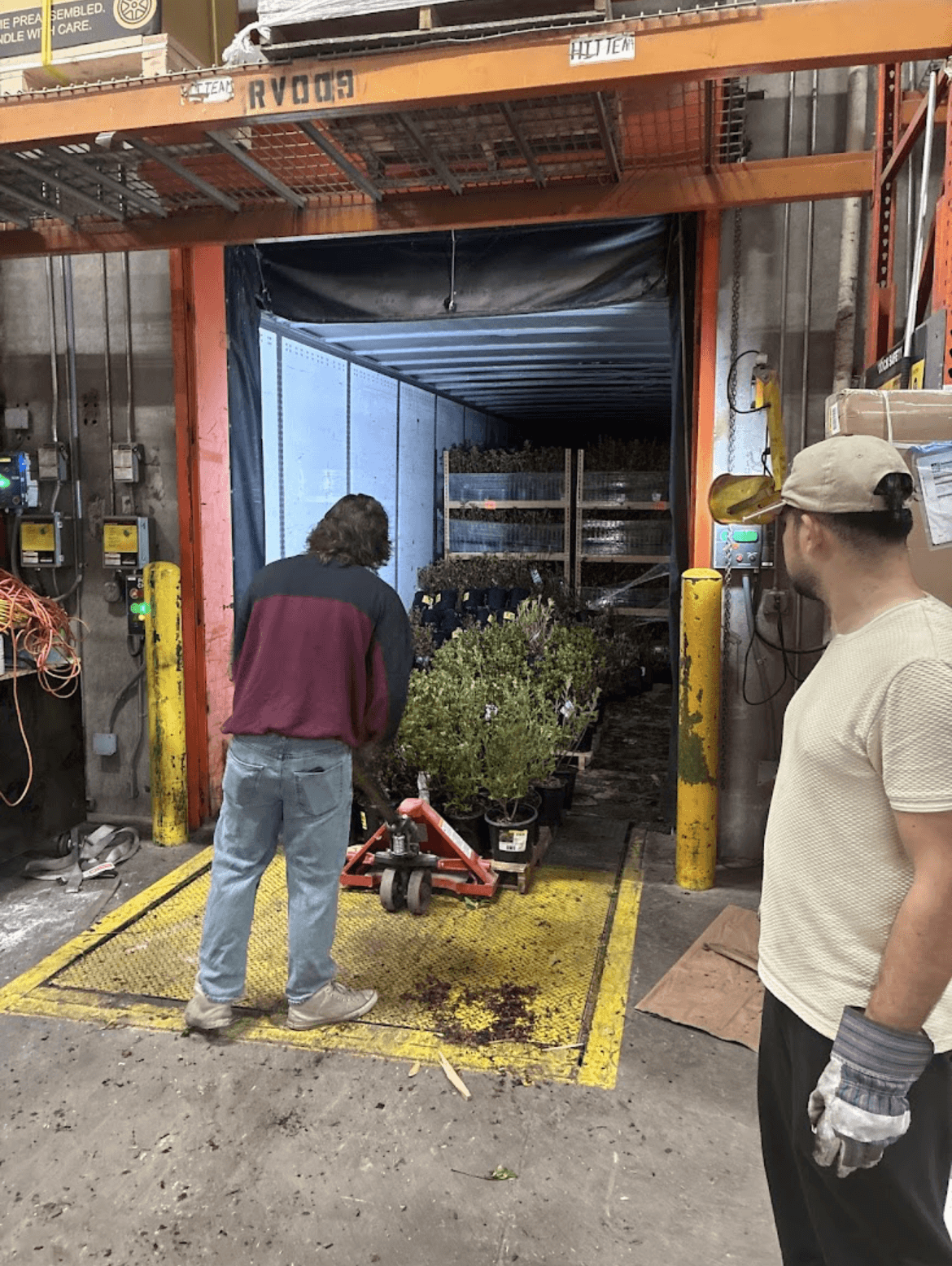 service image