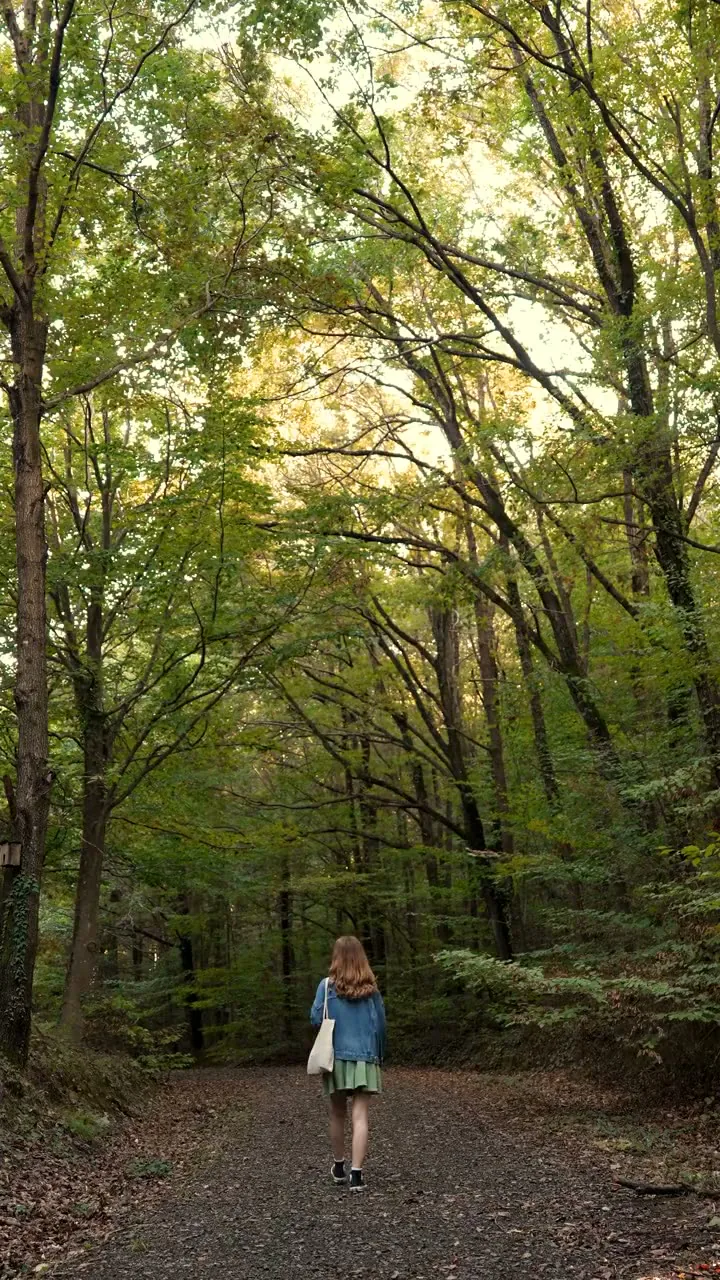 A walker on the Canopy Line trail under tall green trees