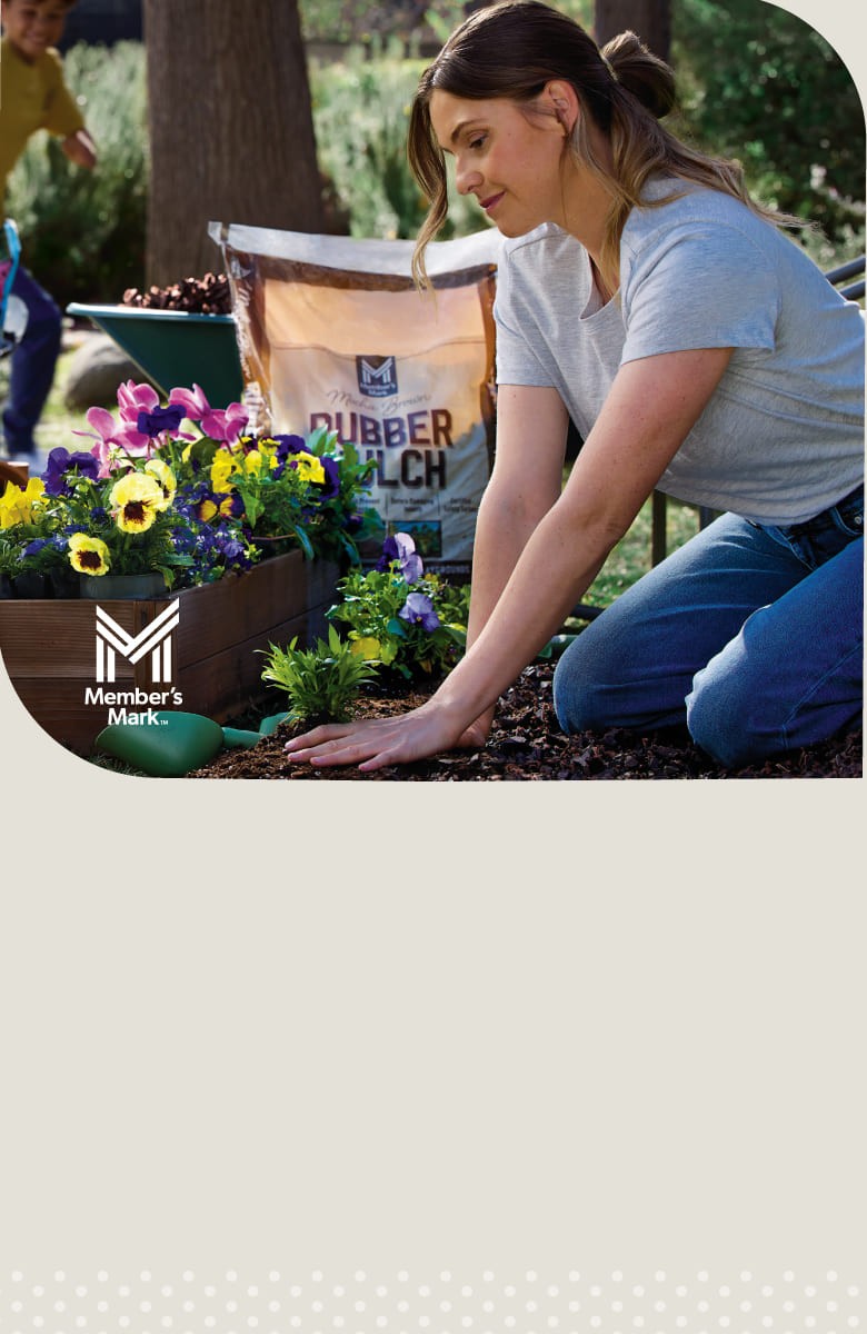 Imagen de un celular que muestra la recolección de puntos en Sam's Cash