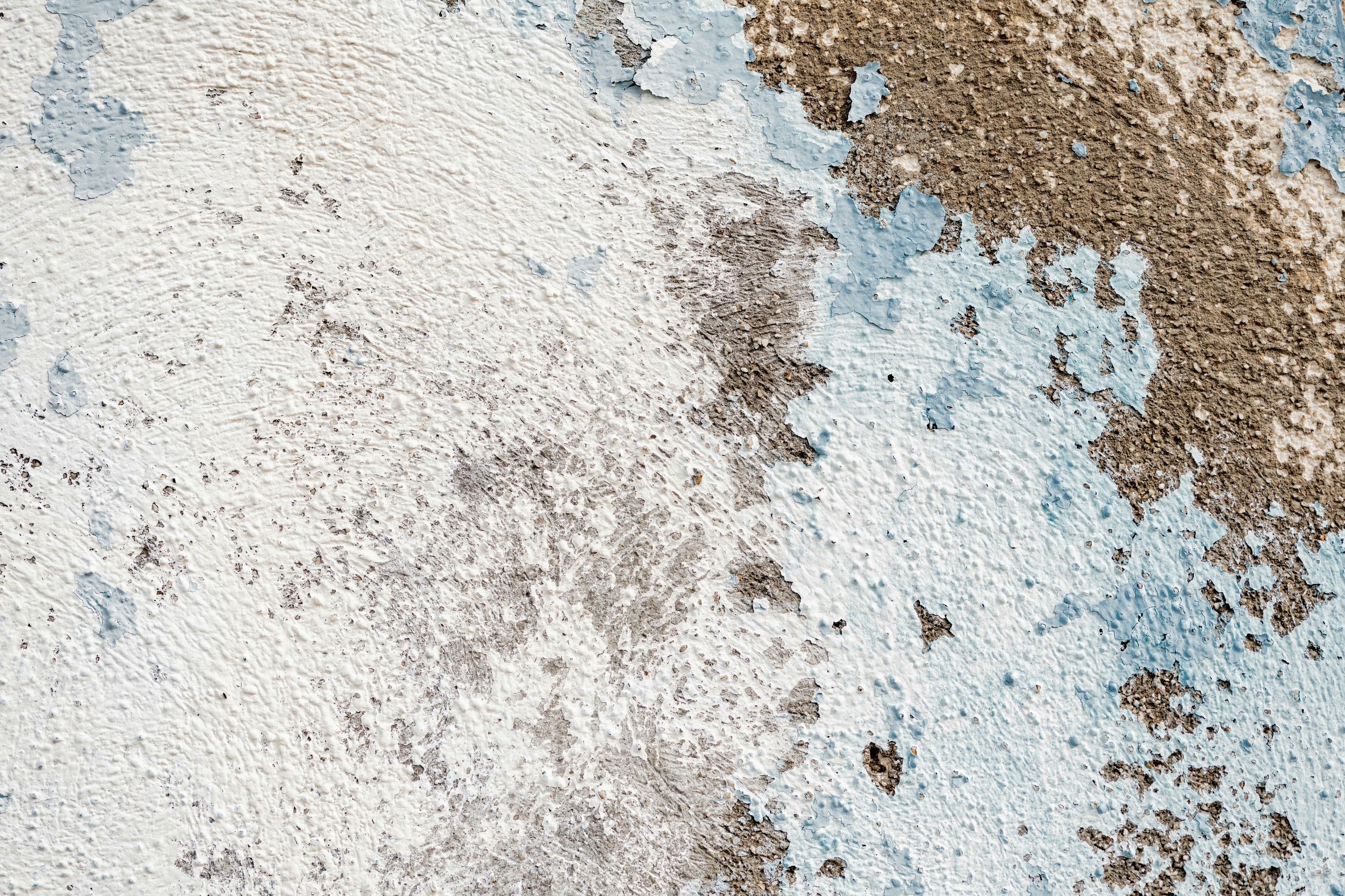 The Ultimate Guide to Mold Prevention in Renton—Don't Miss Out!