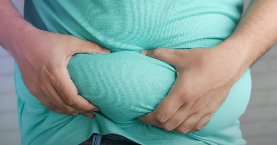 Body fat is stored energy that regulates hormones and insulation.