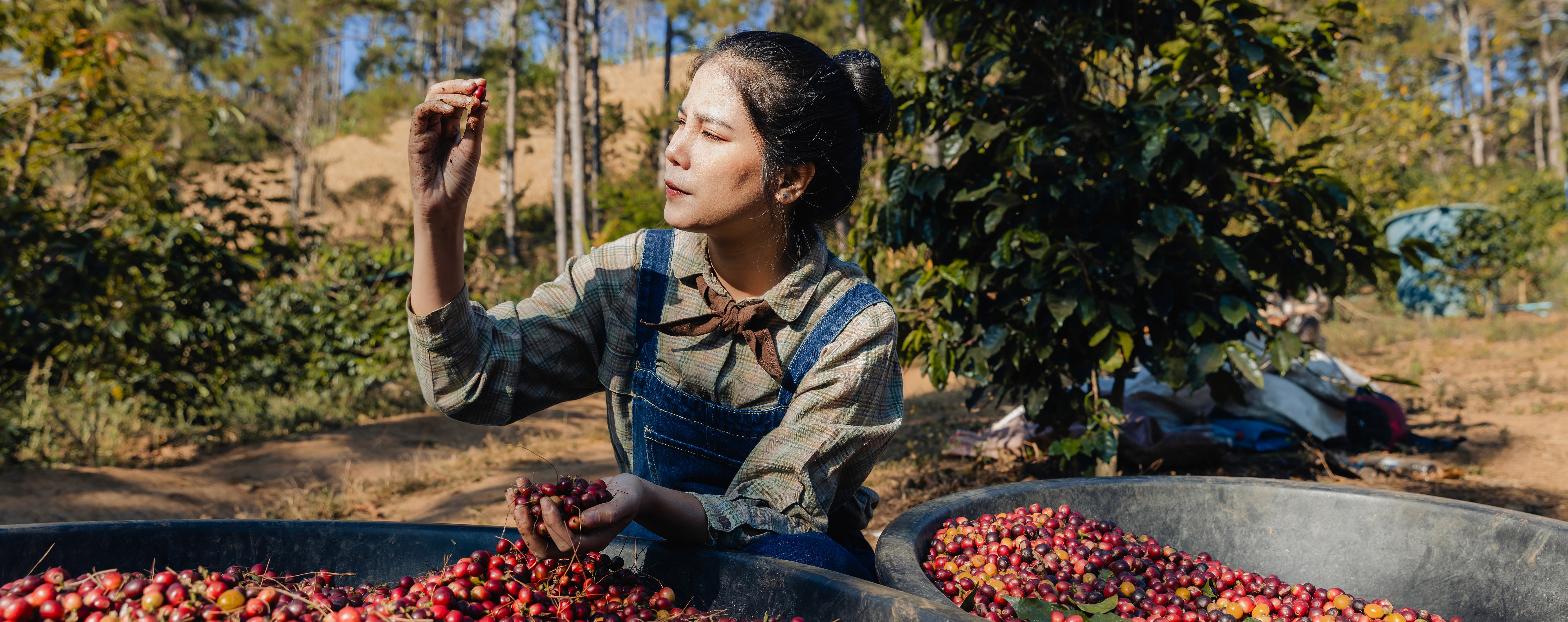 Close-up of a dark green leaf showing its textured surface and central vein against a muted background.