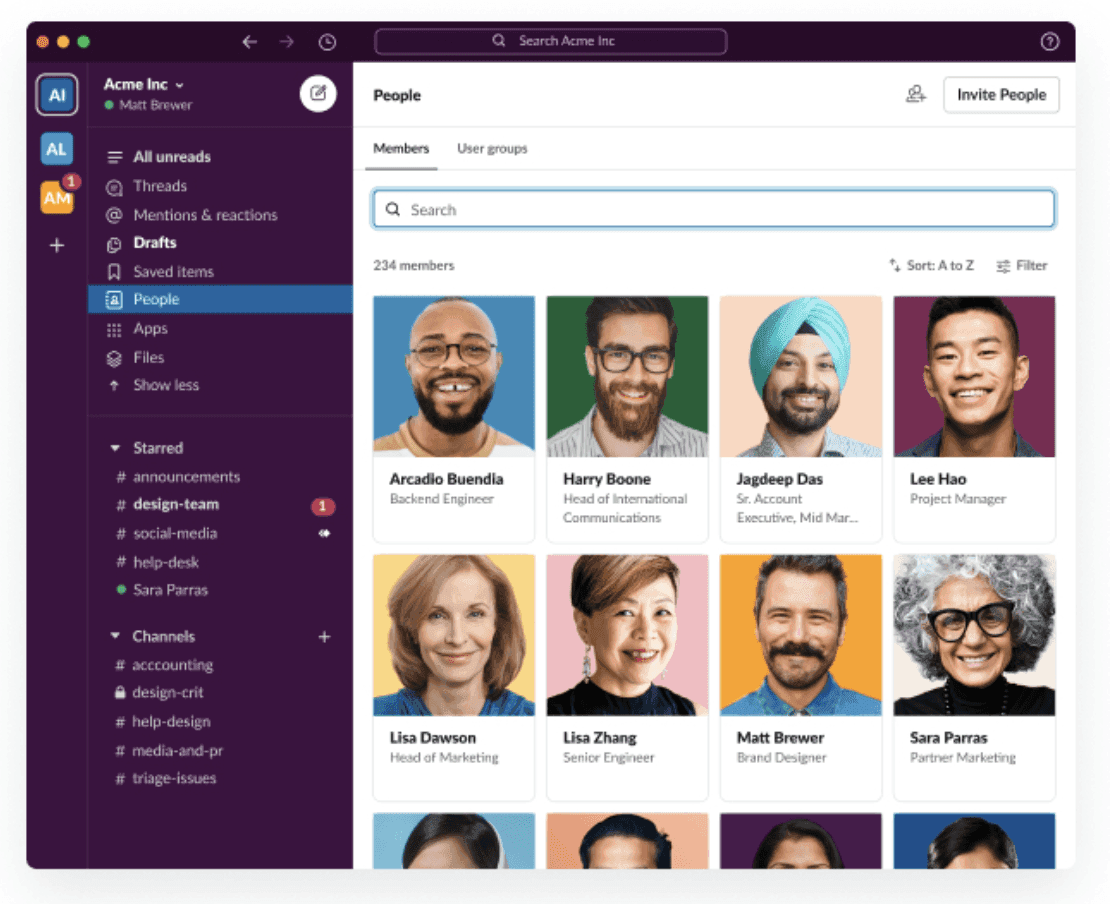  Team members from various countries