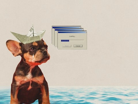 dog sitting beside books and small art prints