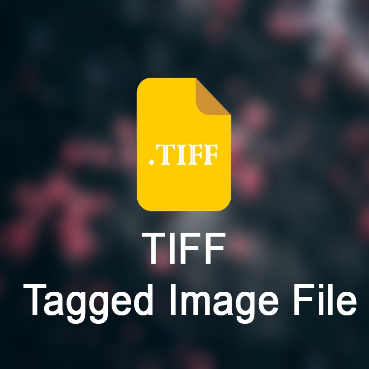 TIFF – Tagged Image File