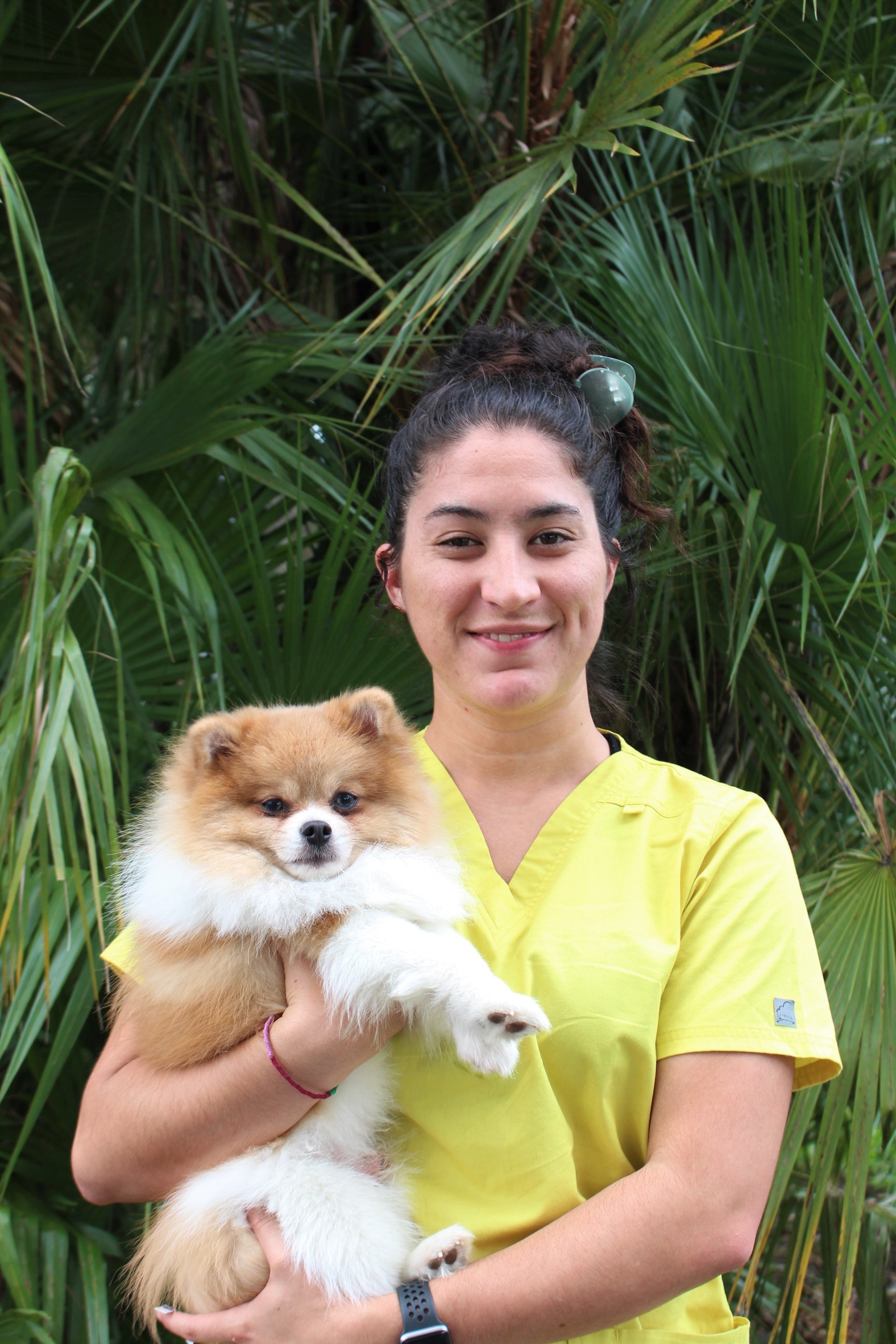 haven holding a pomeranian in front of greenery