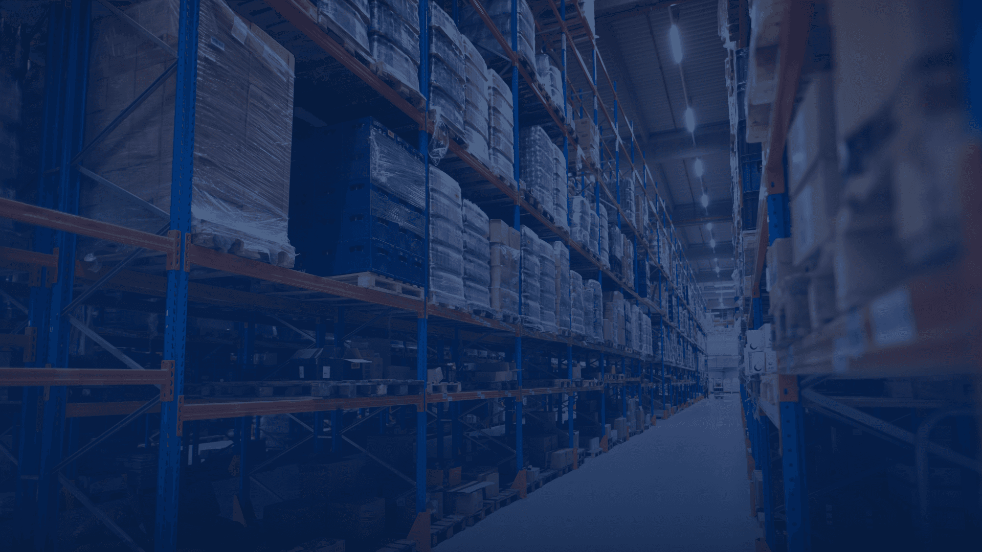 Warehouse India- Free Trade zone India