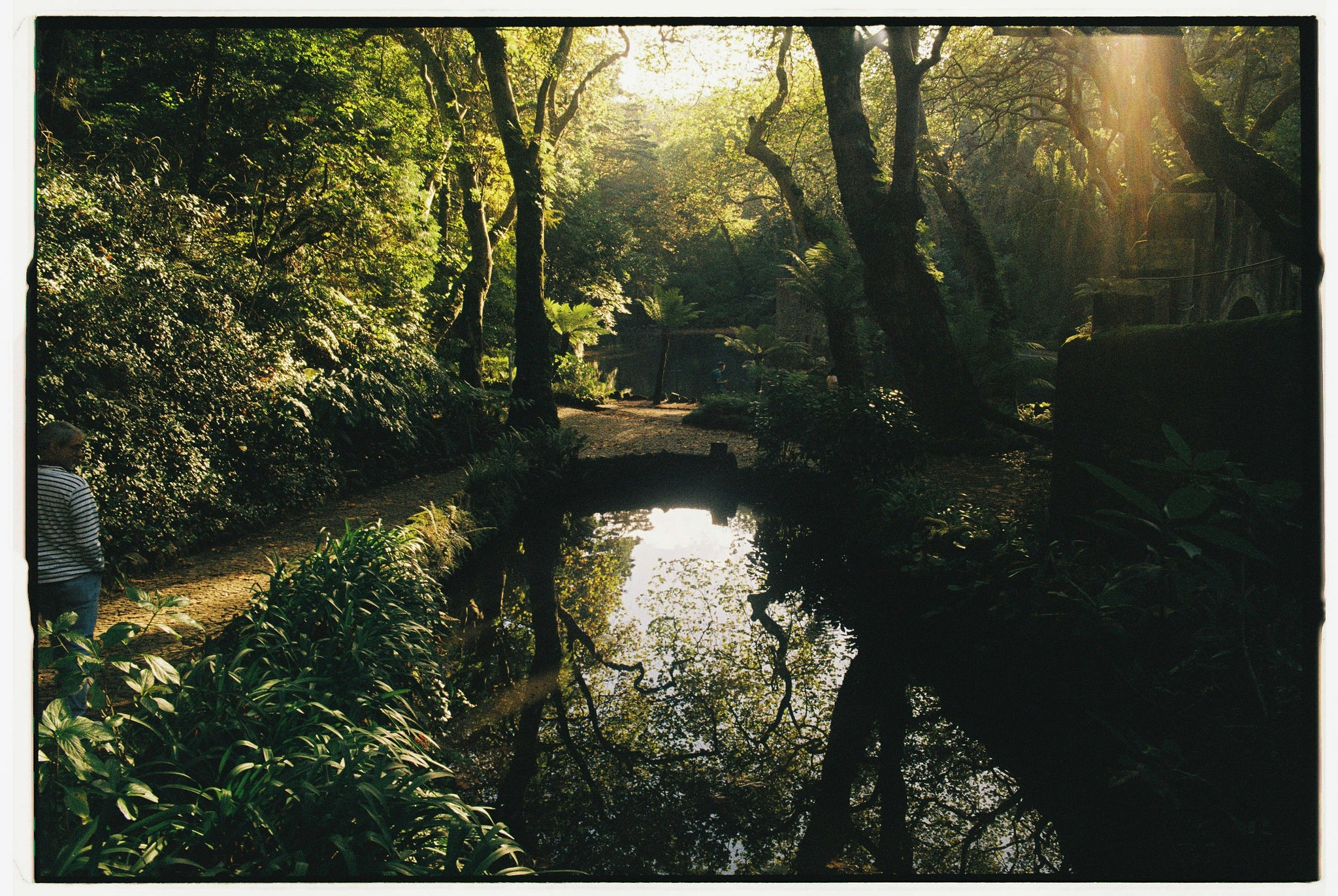 Modern skyscrapers line a busy highway in a sprawling city.