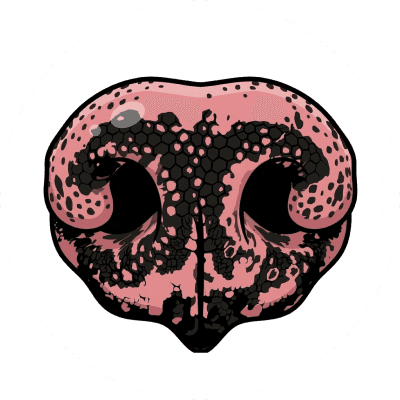 Dog nose illustration