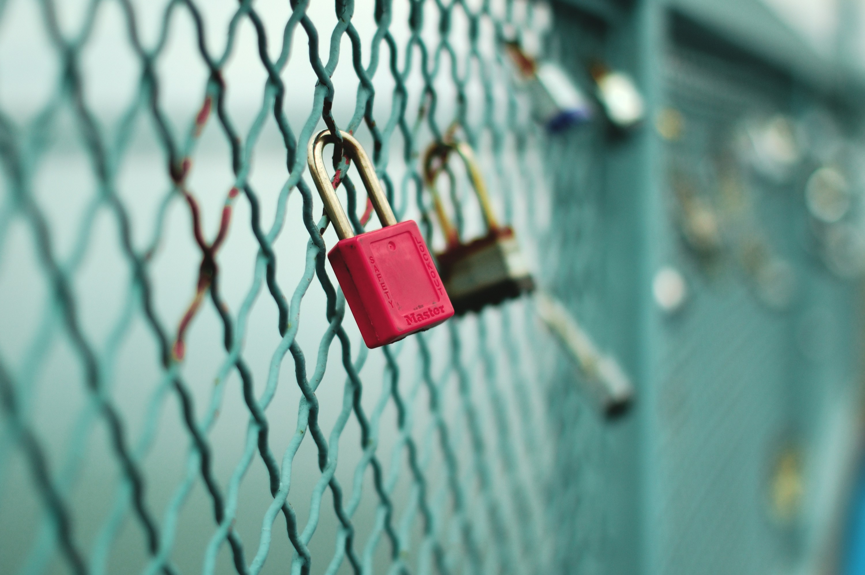 A chain link fence with padlocks attached to it