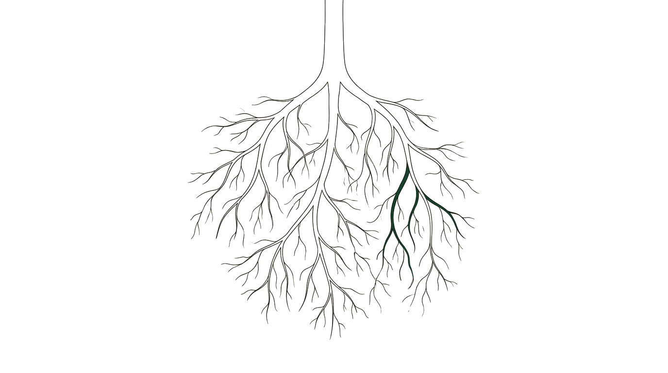 Evaluation Matrix in the Tender: Systematically Decoding Award Criteria — root system illustration