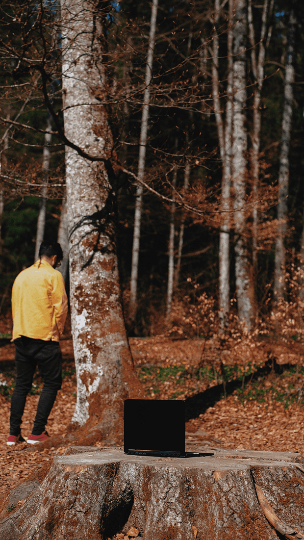 Testing & Optimization