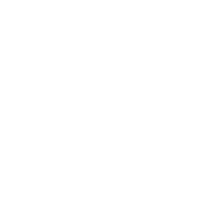 Red Bull Logo