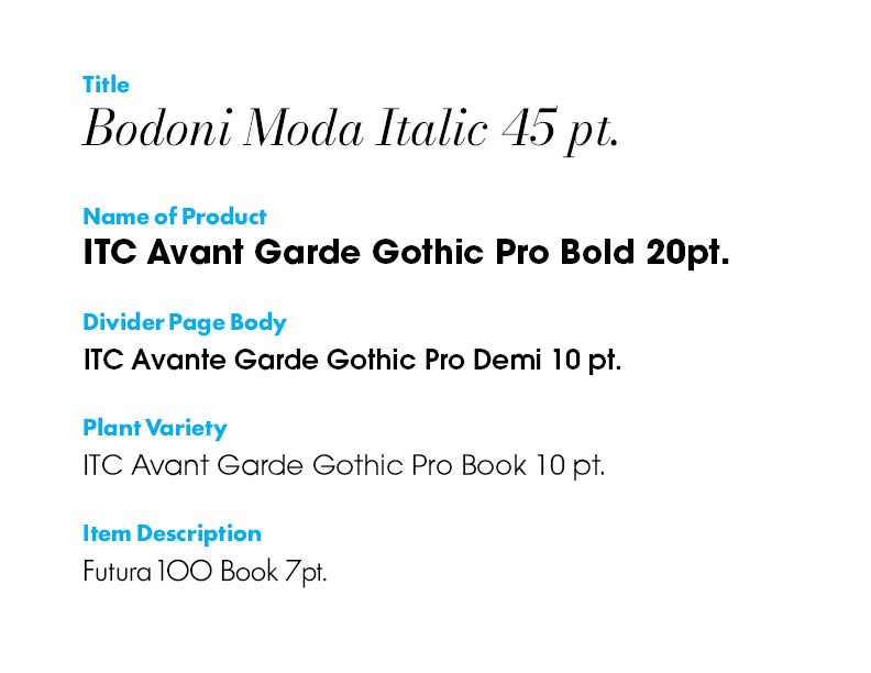 A typography sample for each text style present in the catalog.