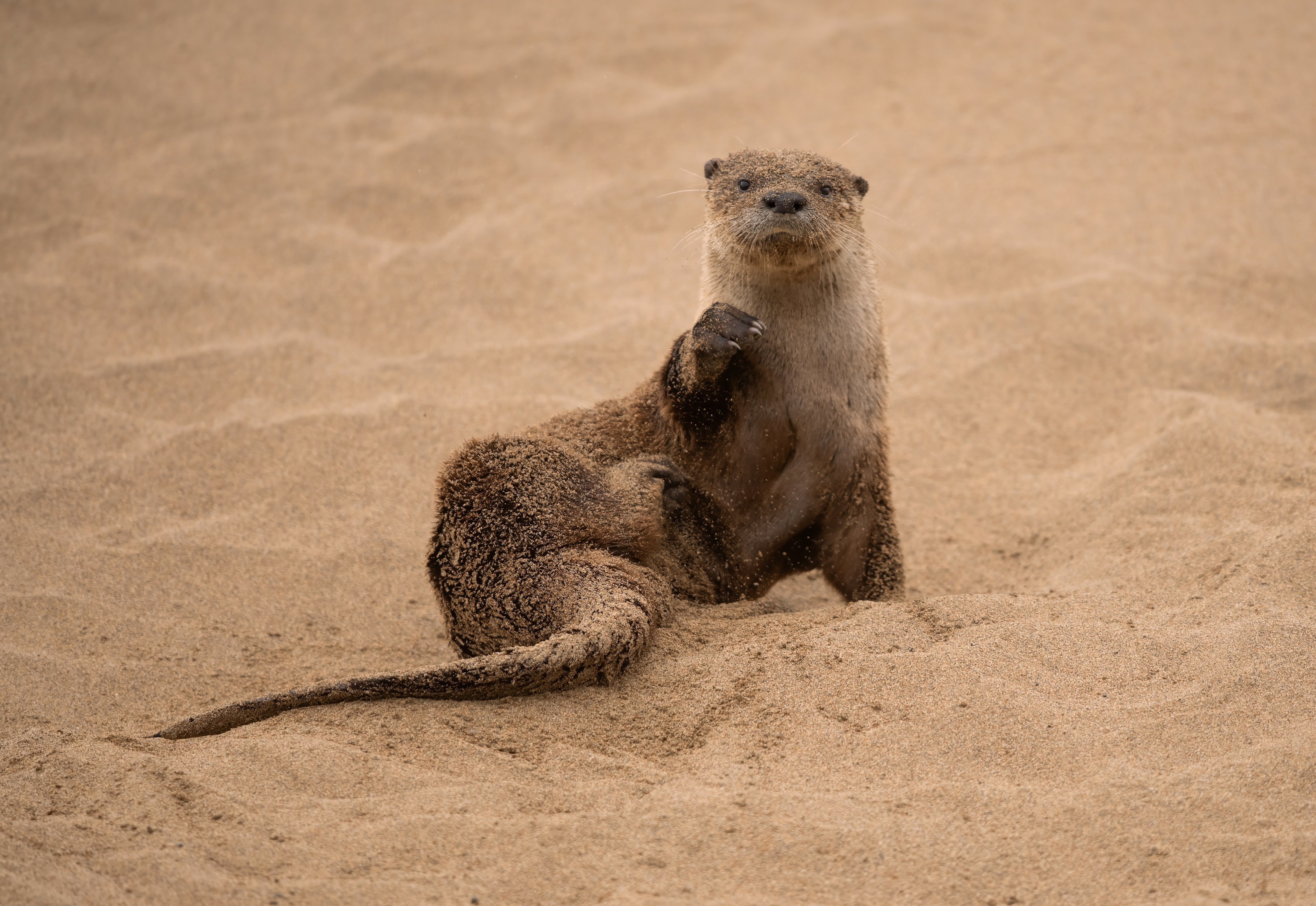 Photo of Irene in a neon scene