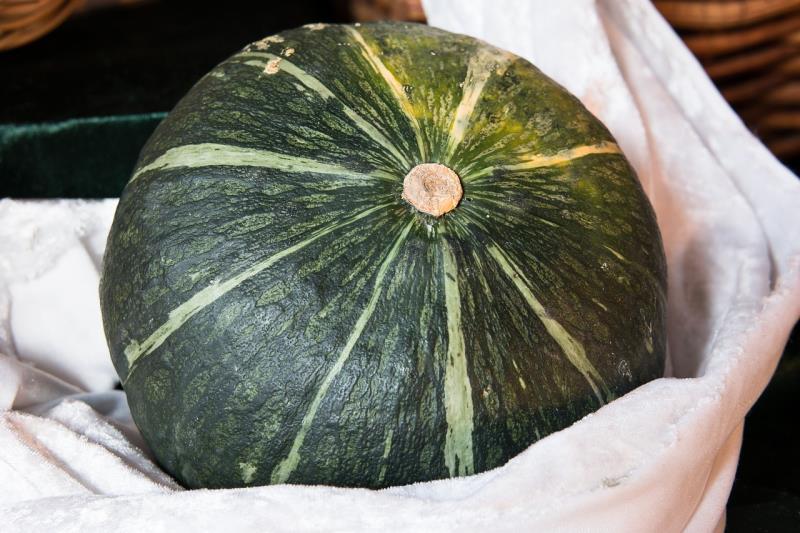 Zucca Delica