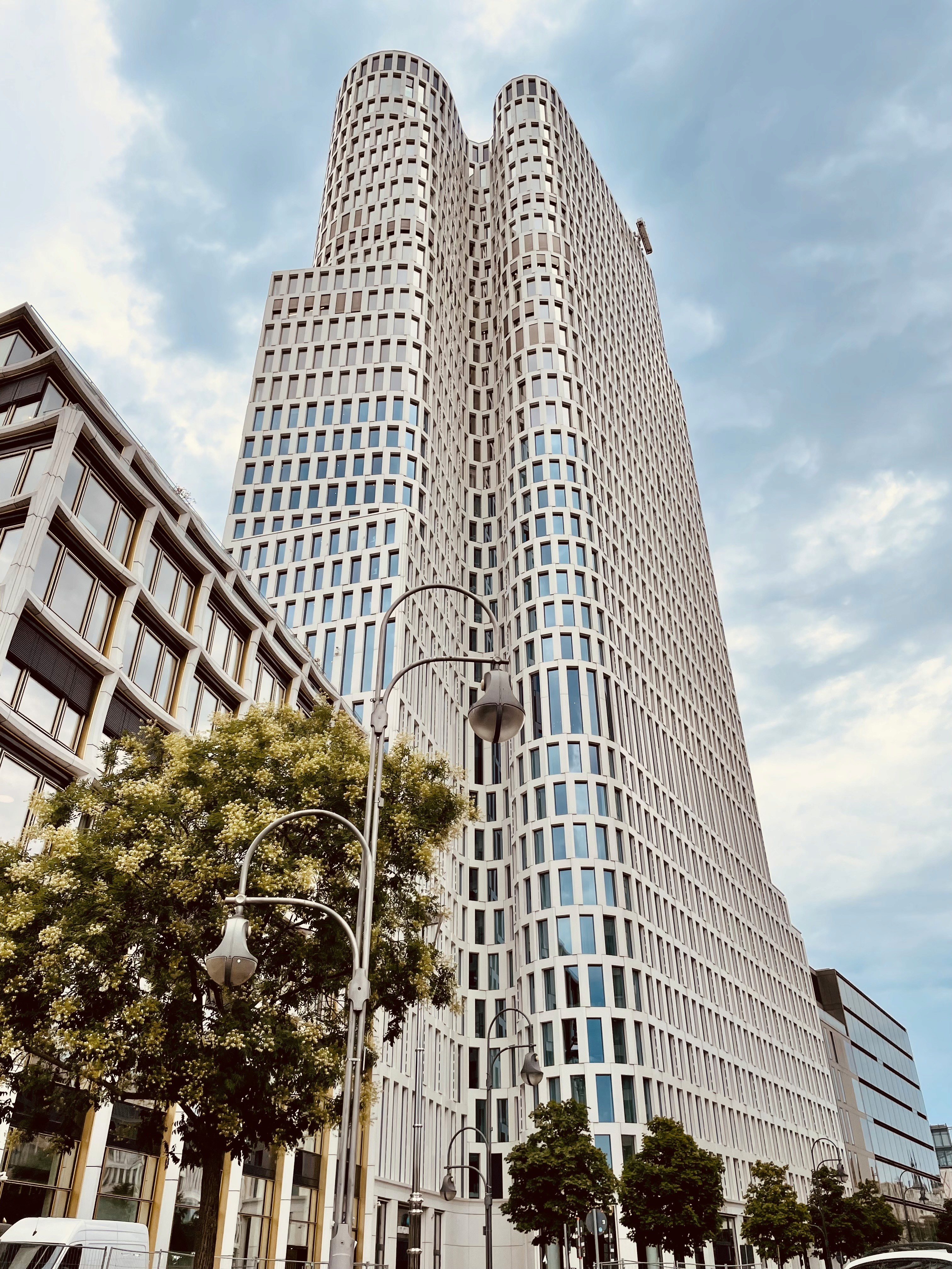 a brown dog sitting on top of a sandy beach