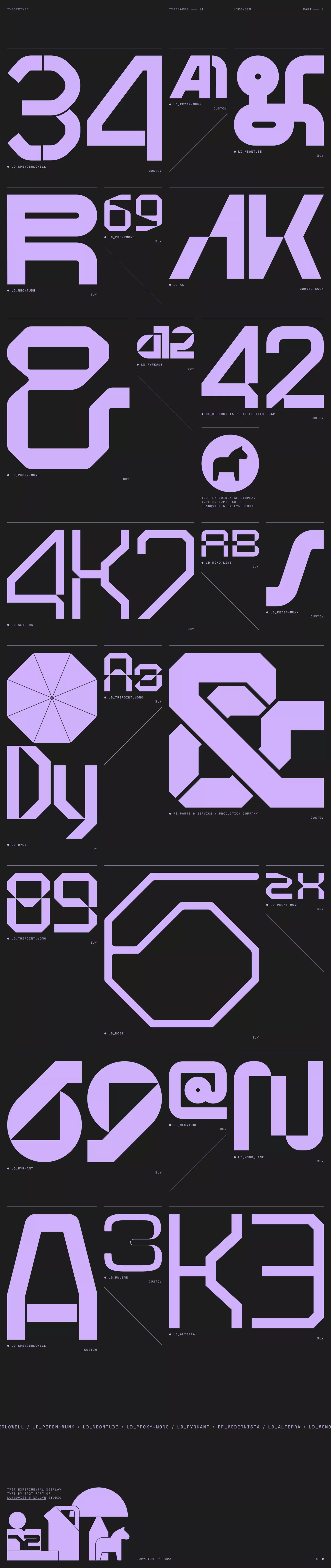 Experimental Display Type other page screenshot showcasing Design and Ecommerce design