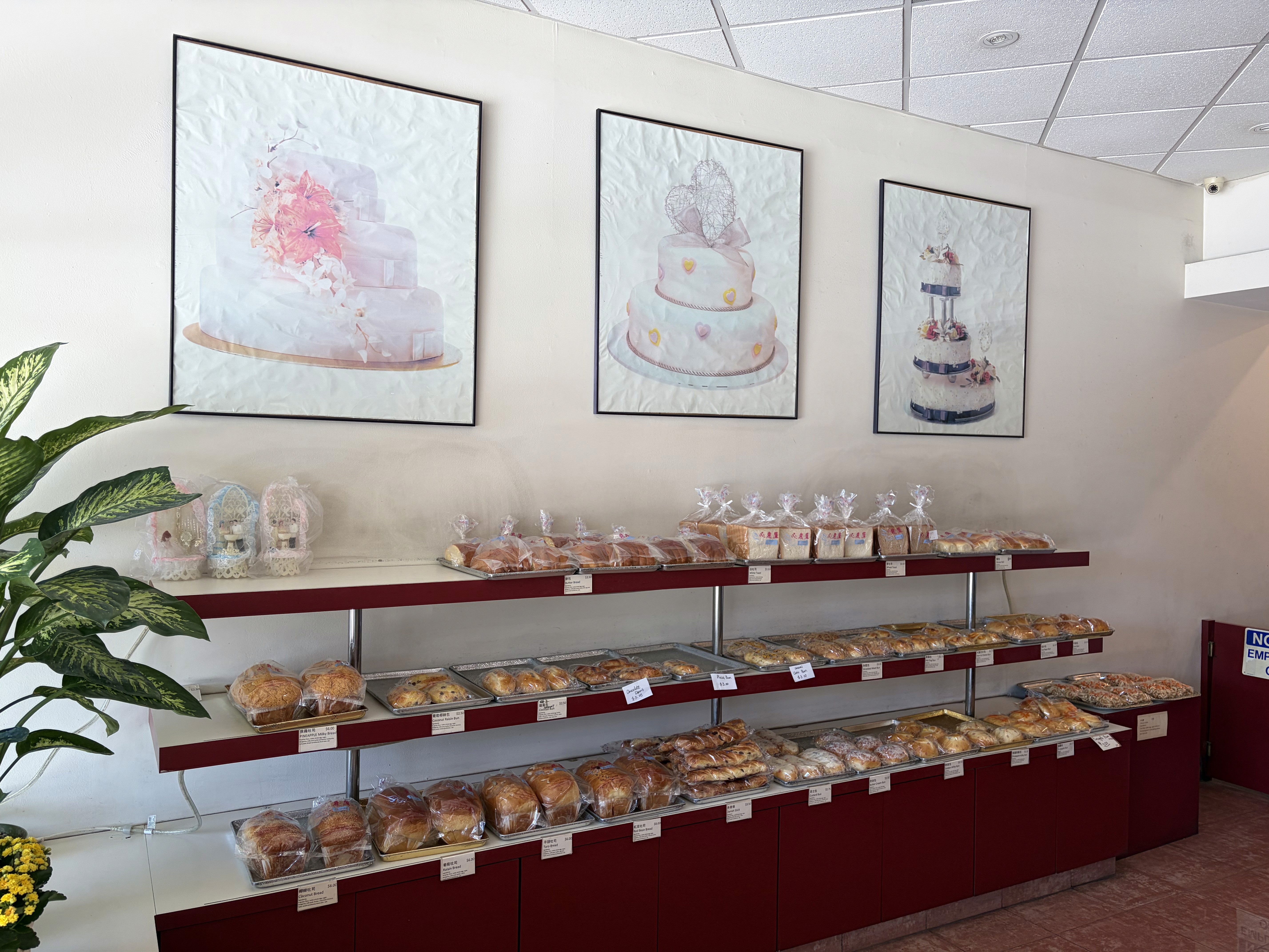 The image featured at the top of the about us page #2