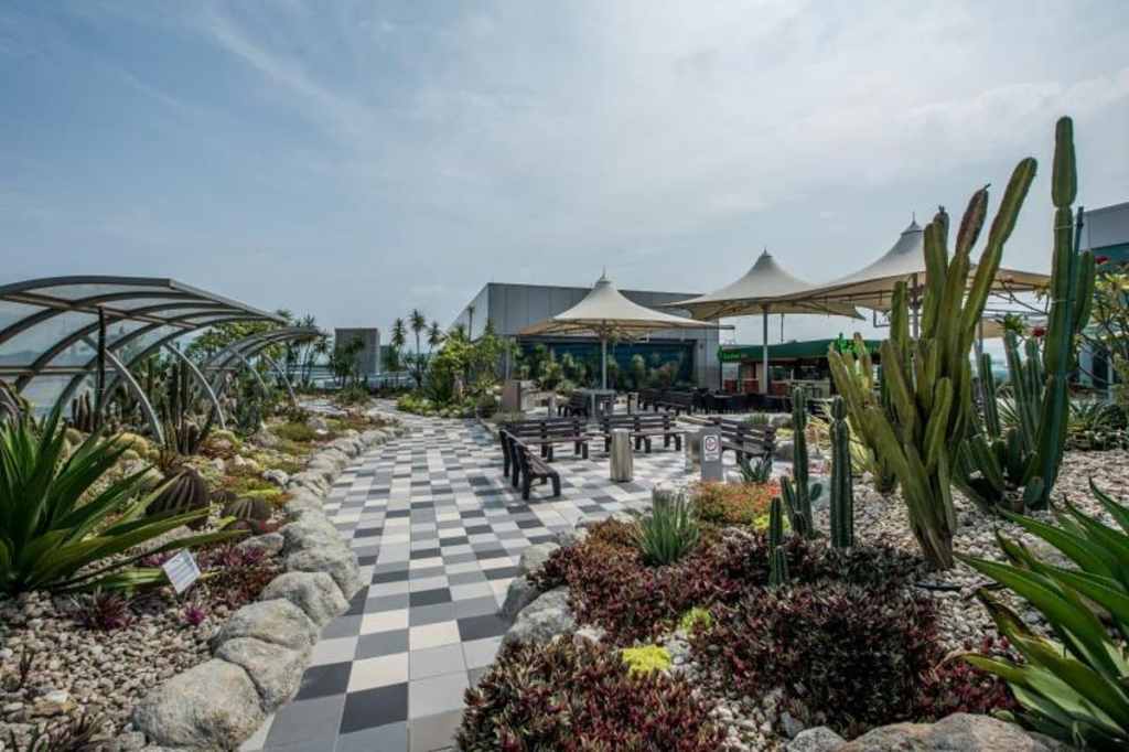 Cactus garden at Changi airport, Singapore