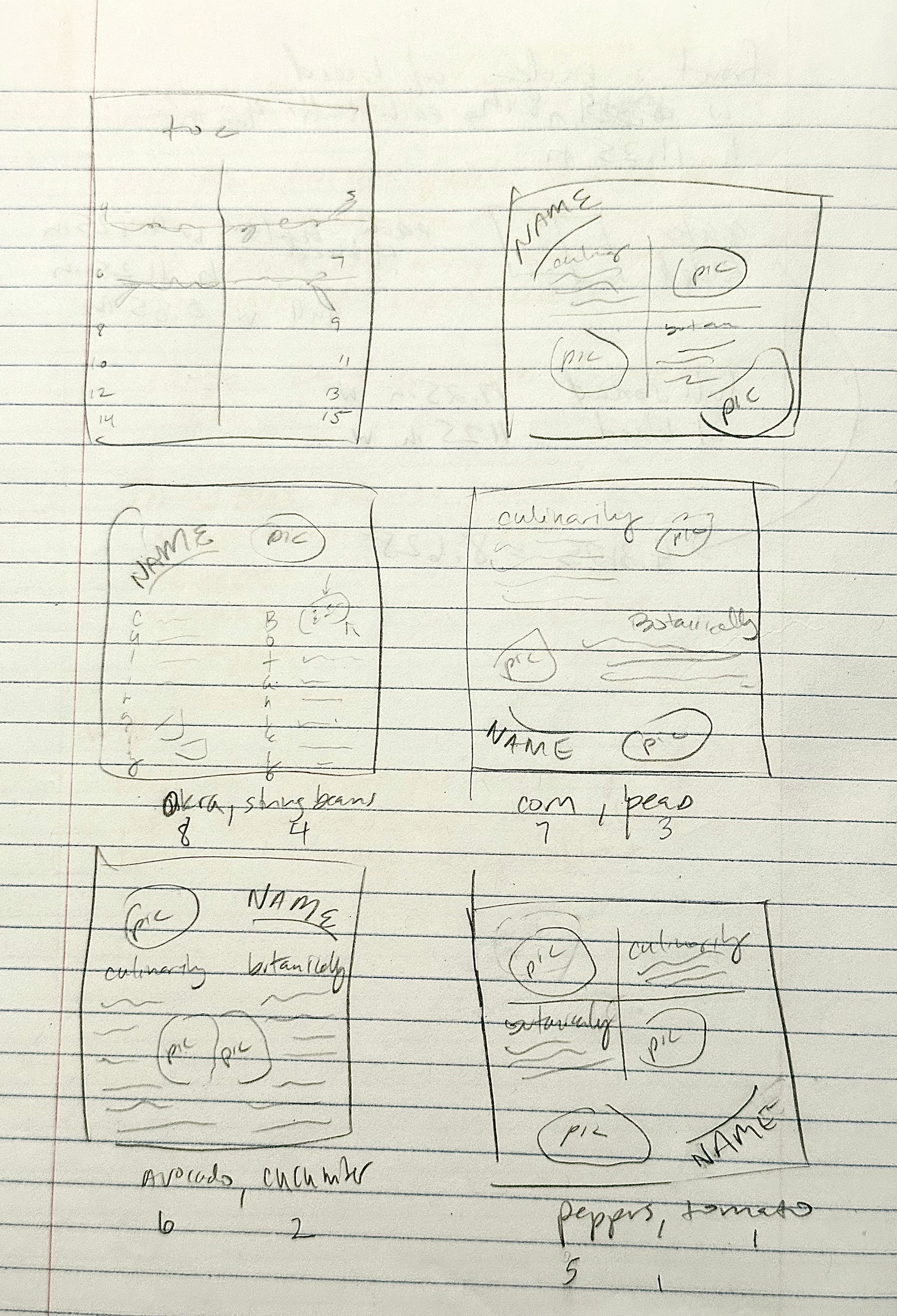 fregetable layout sketches