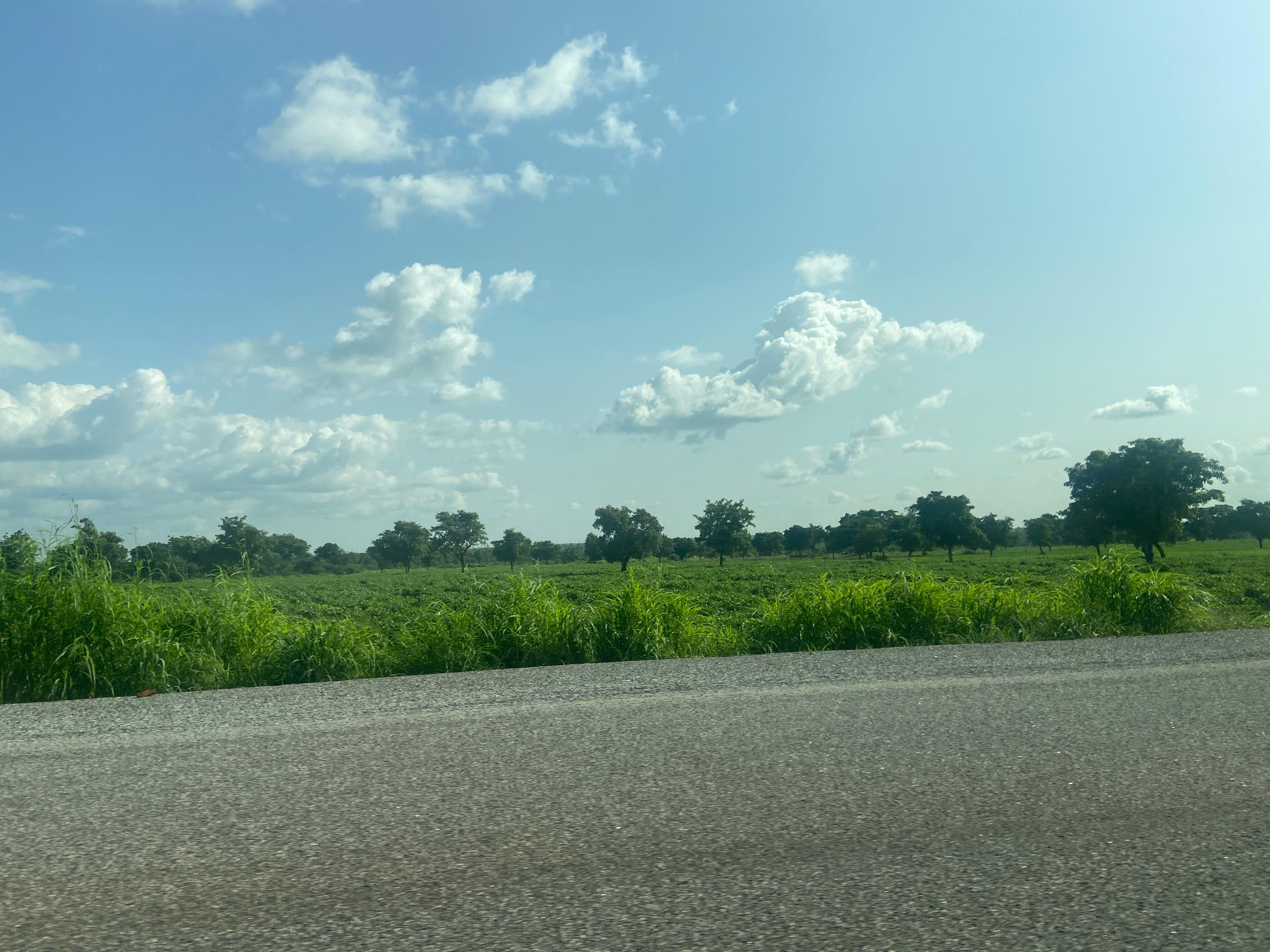 a person standing in front of a building