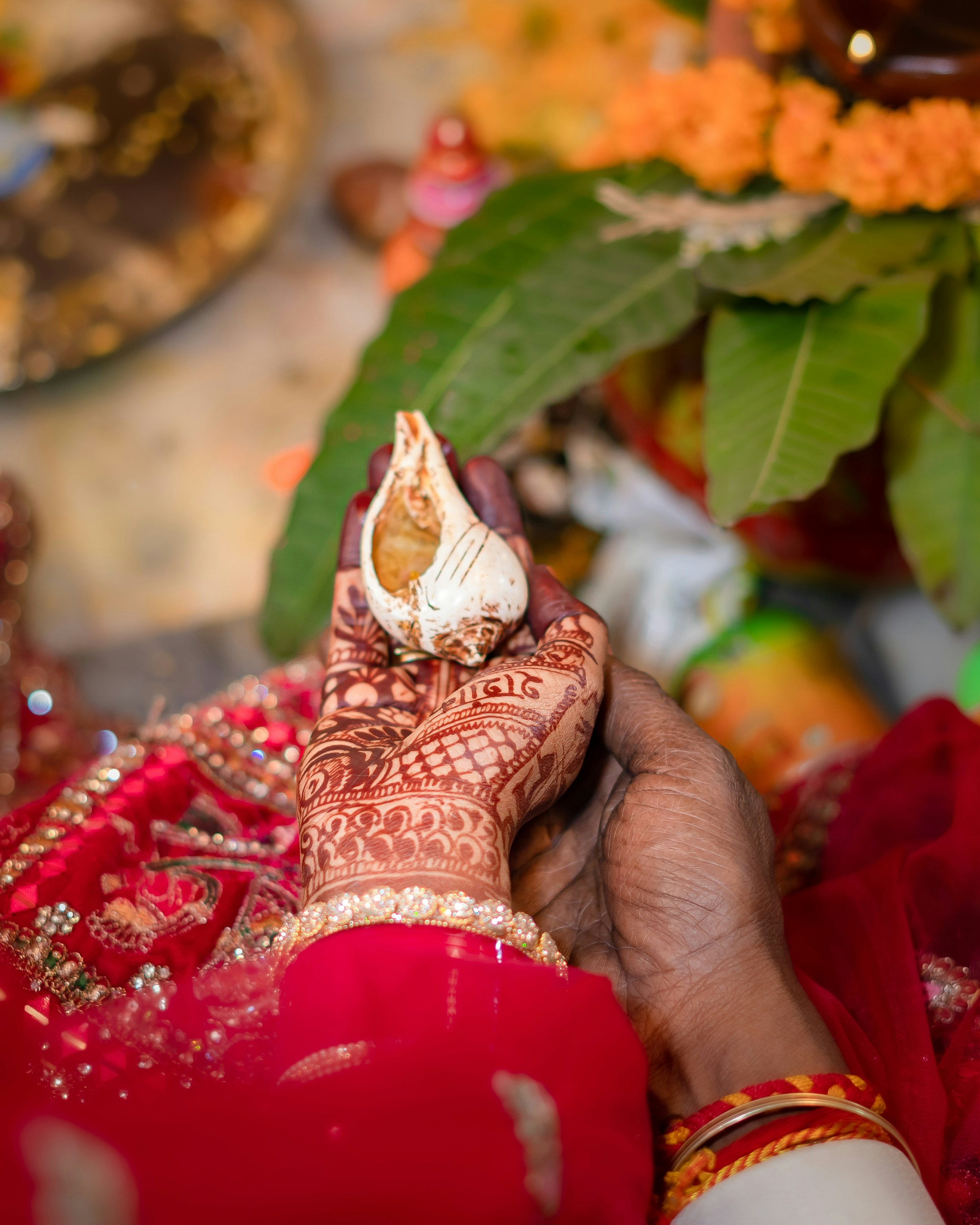 Hands hold a conch shell during a religious ceremony.