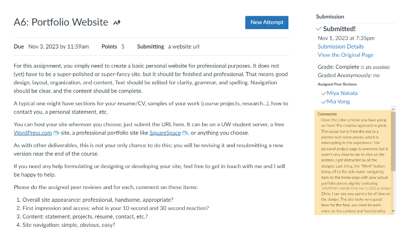 Image of Canvas peer review assignment, with the feedback highlighted in the bottom right