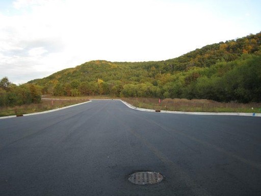 Photo 5 of 107 Windsong Court, Boscobel