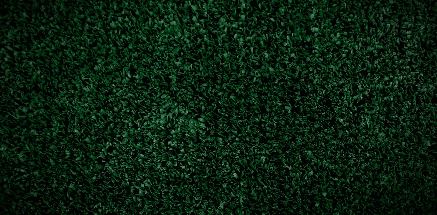 A mic image