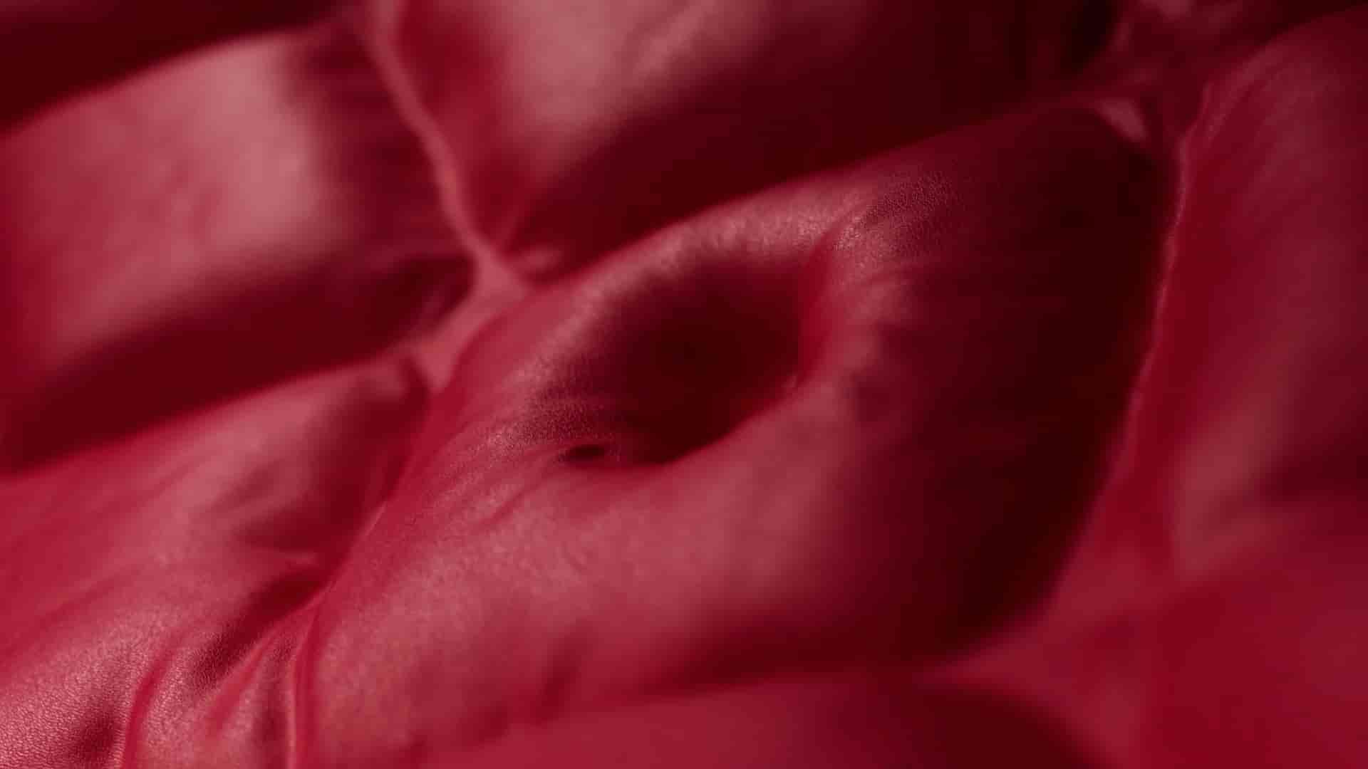 Mainframe luxury work: mulberry material study in a hyper-detailed surface CGI style for premium craftsmanship.