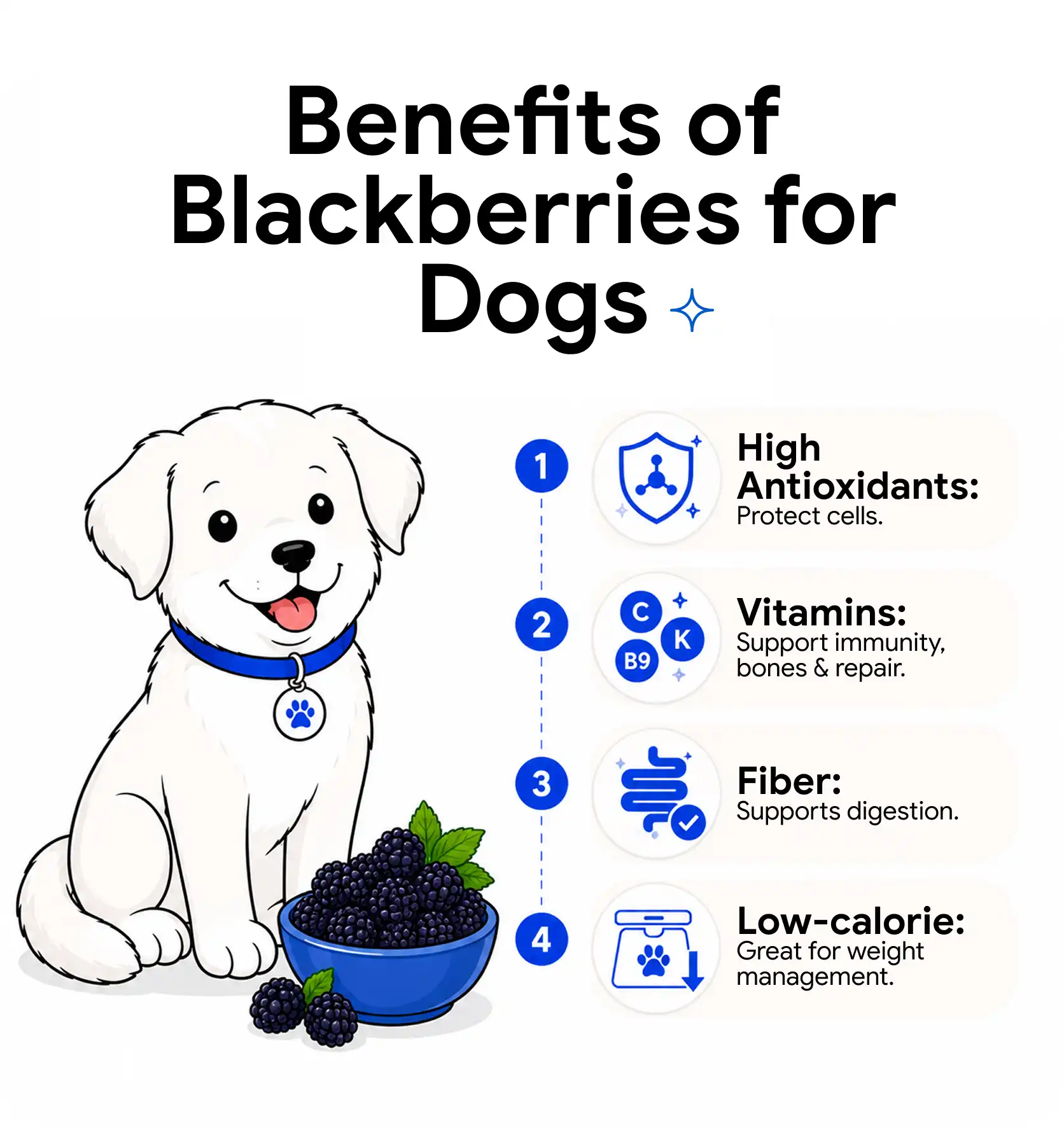 An image showing the benefits of blackberries for dogs.