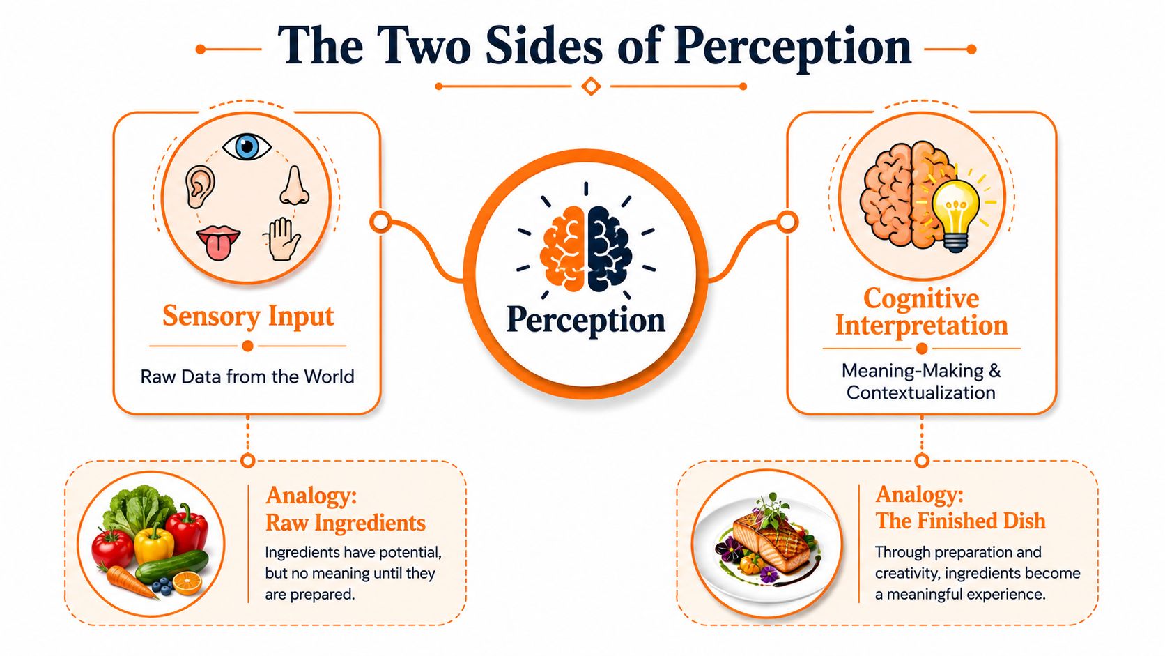 An infographic titled The Two Sides of Perception, illustrating sensory input versus cognitive interpretation using a food analogy.