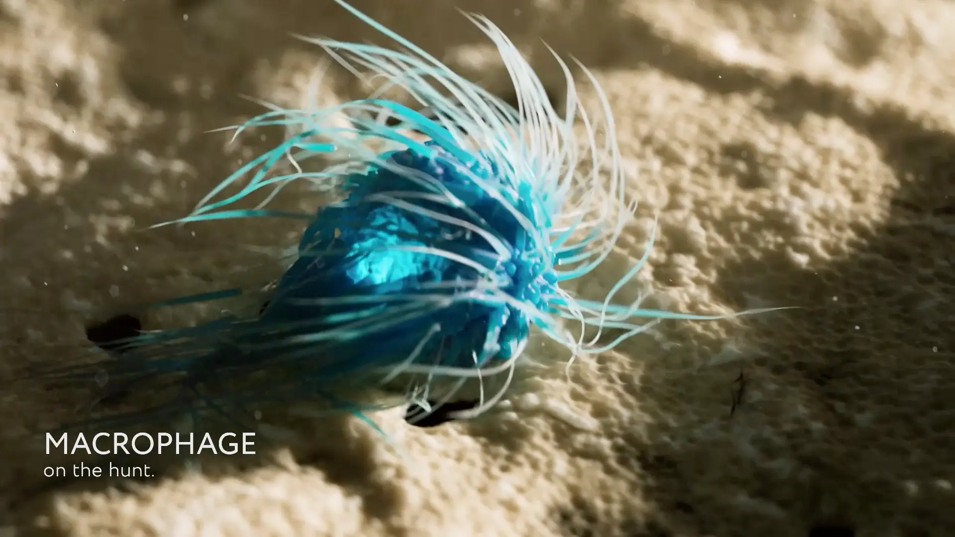 3D medical animation still from a Mainframe case study