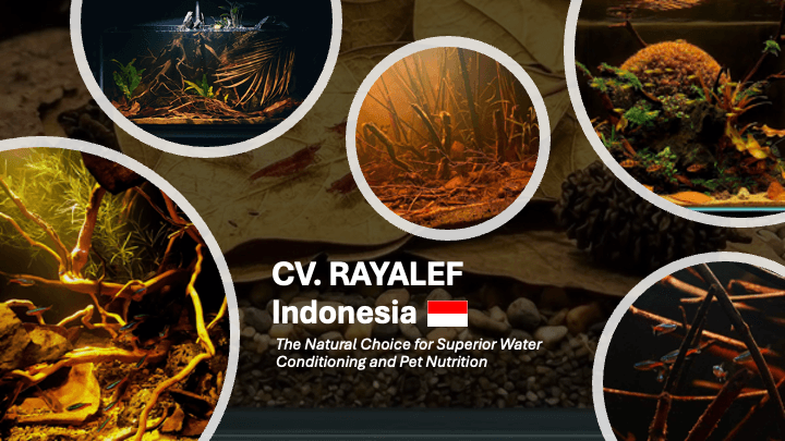 Rayalef wholesale botanical leaves packed in secure bulk export packaging, ready for international freight shipping to global distributors