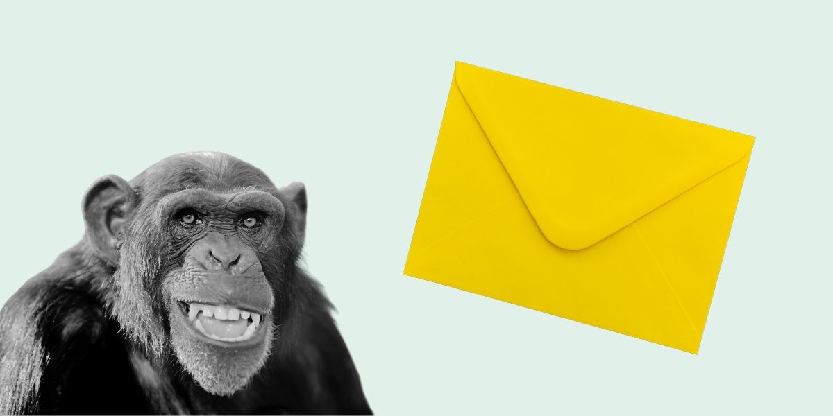 9 Mailchimp Alternatives For 2025 — Free, Cheap & Best Options ✉️ 