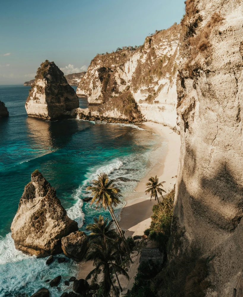 a beach
