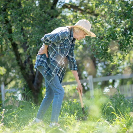 Elderly woman in a garden, bending over in pain while tending plants