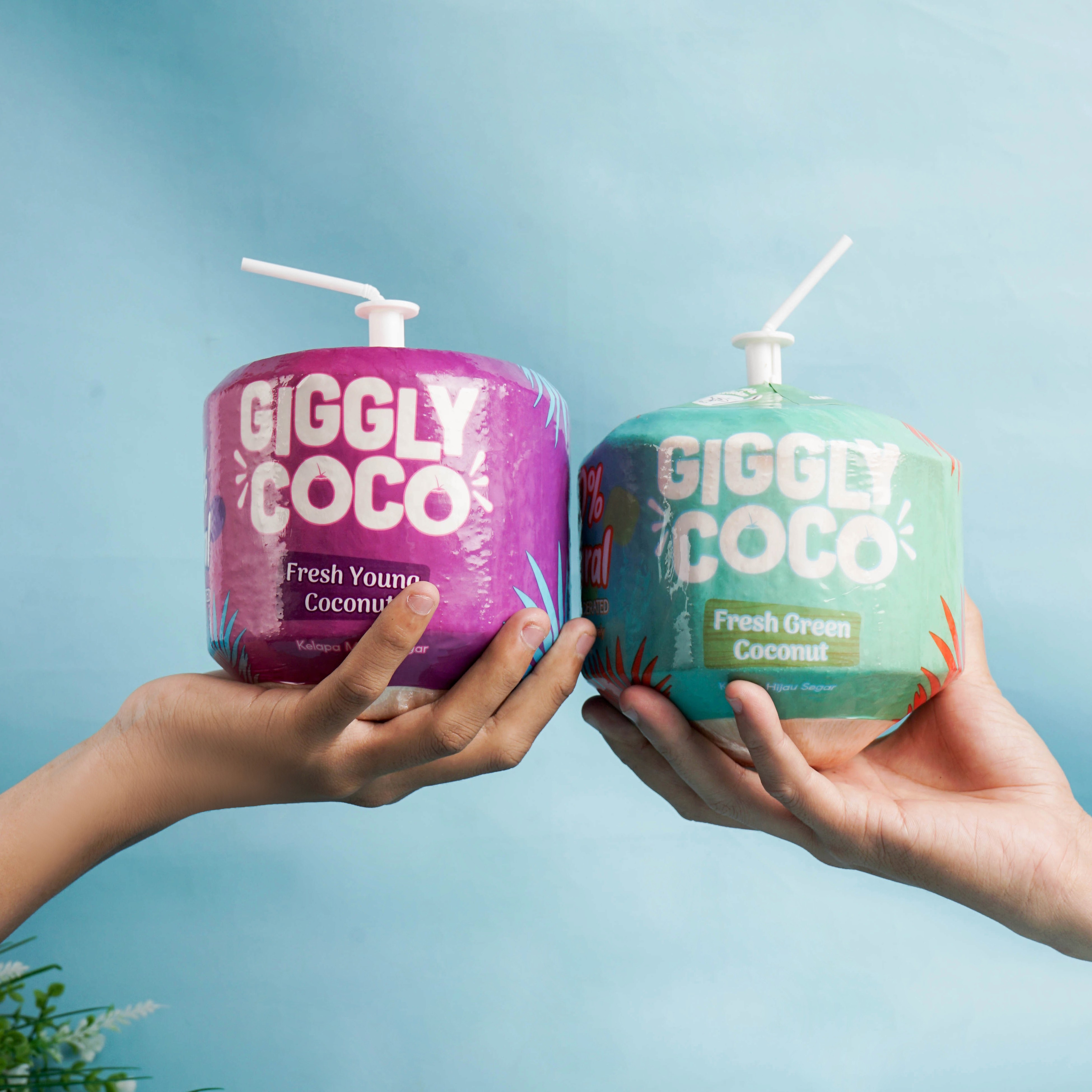 Giggly Coco First Move