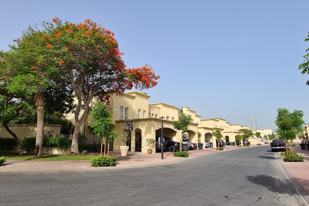 Parked cars line the street beside a row of residential houses in a suburban neighborhood.