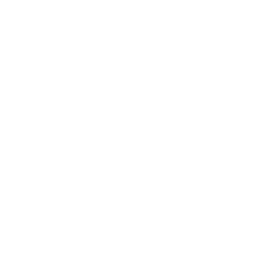 Optimal Home Logo
