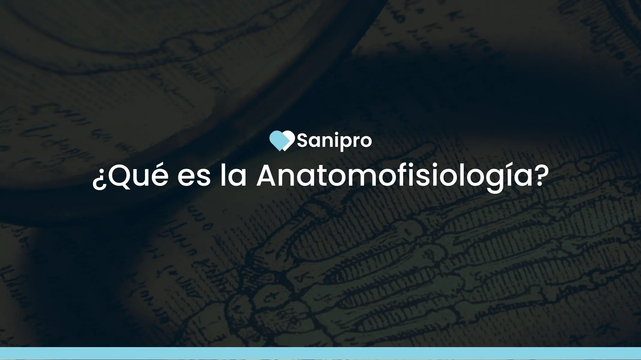 ¿Qué es la Anatomofisiología?