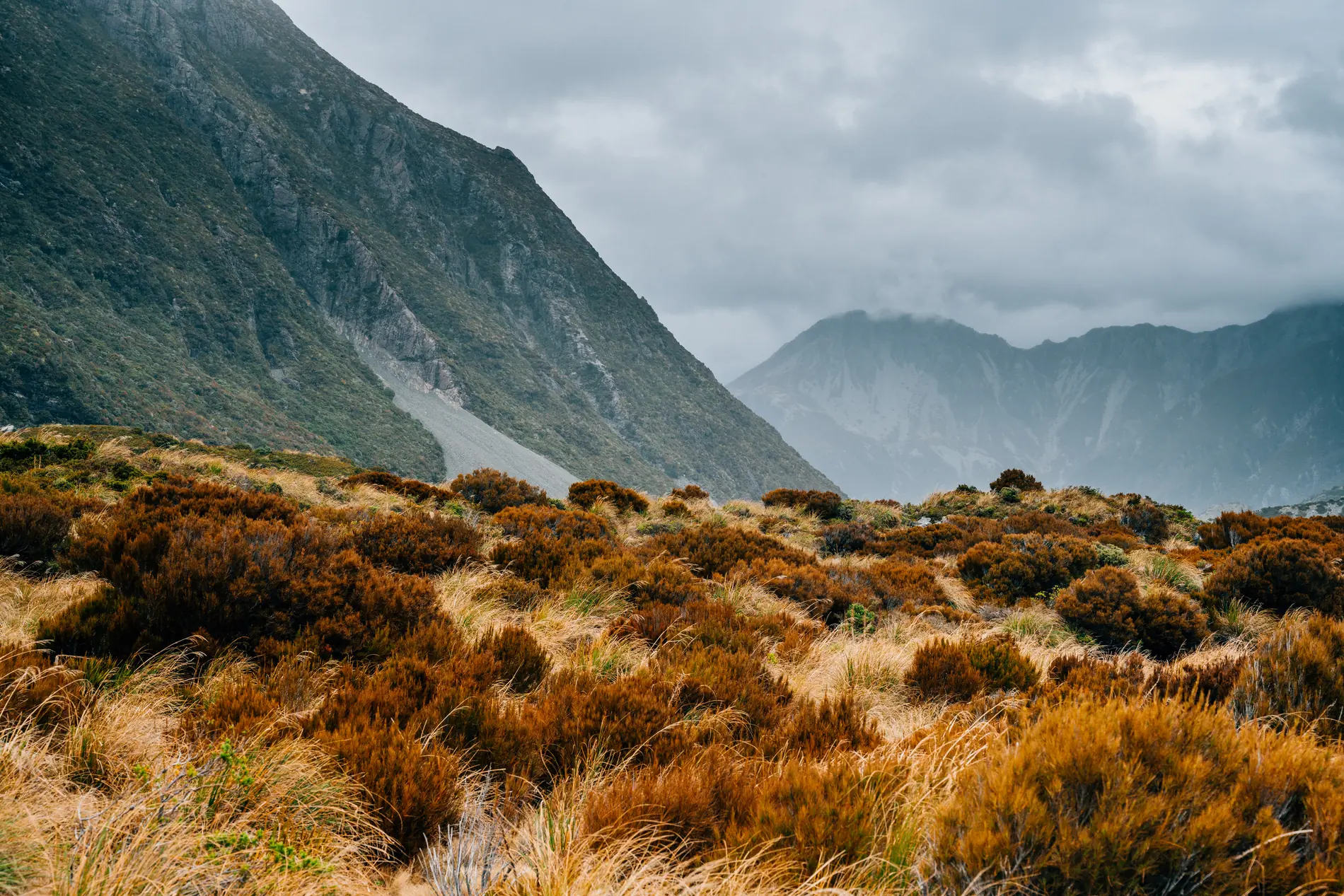 Rust-coloured alpine tussock in the foreground of a steep, cloud-covered valley