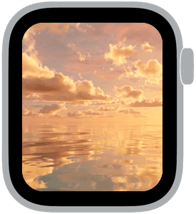 cloudwater Apple Watch face preview 2 featuring autumn, summer, and spring.