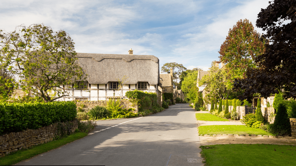 Olivia Thomas Estates