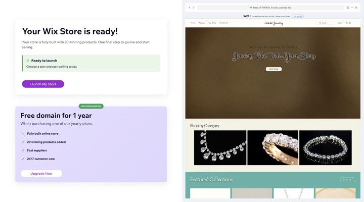 AIStoreBuilder store preview showing generic Wix template with visible Wix subdomain banner