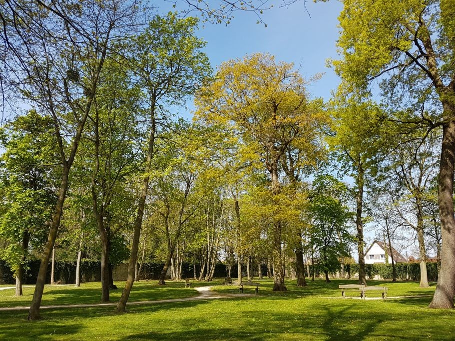 Tranquil park setting with tall trees, manicured lawn, scattered benches, and glimpse of traditional building architecture in the background